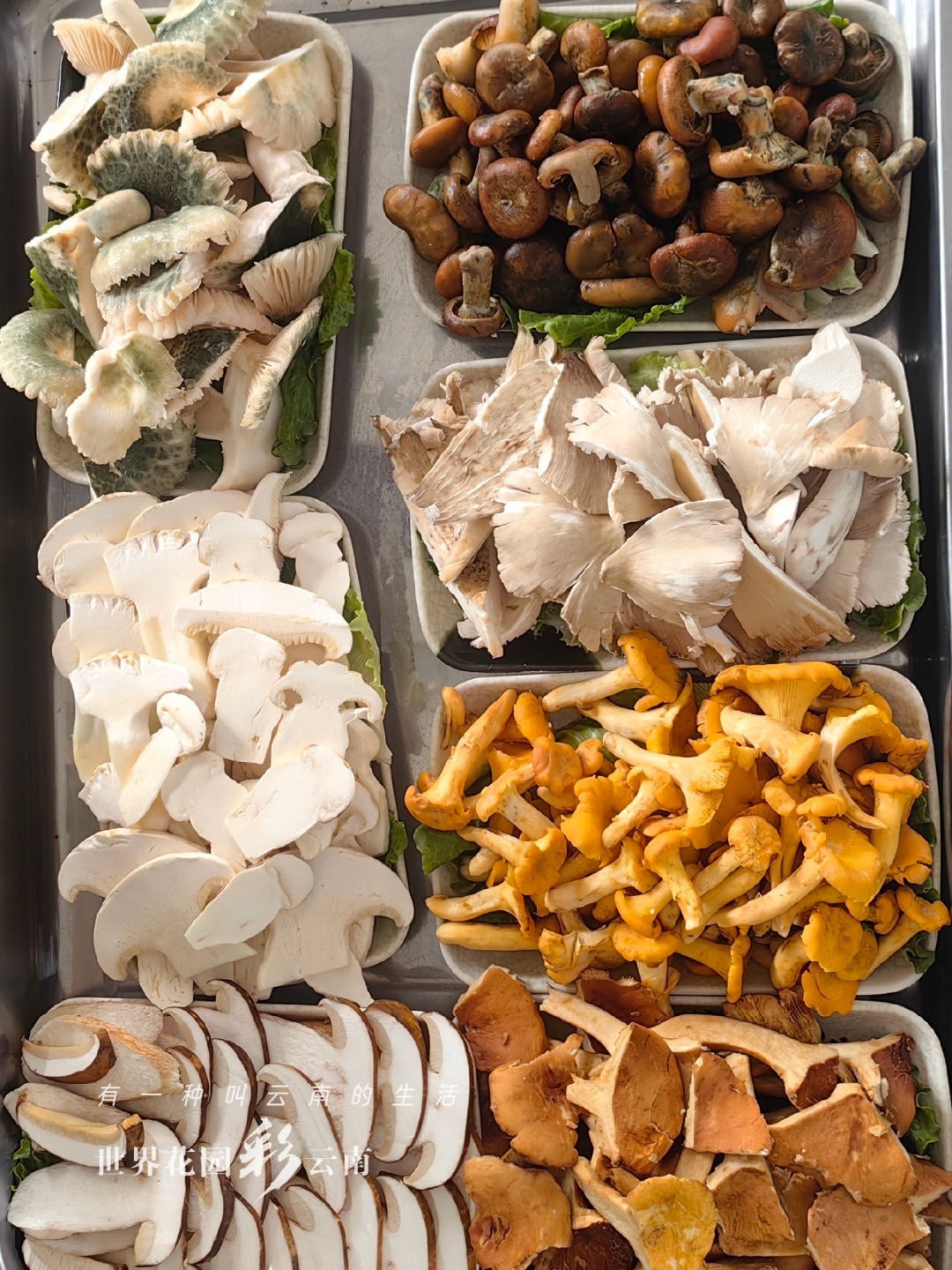 云南省文化和旅游厅