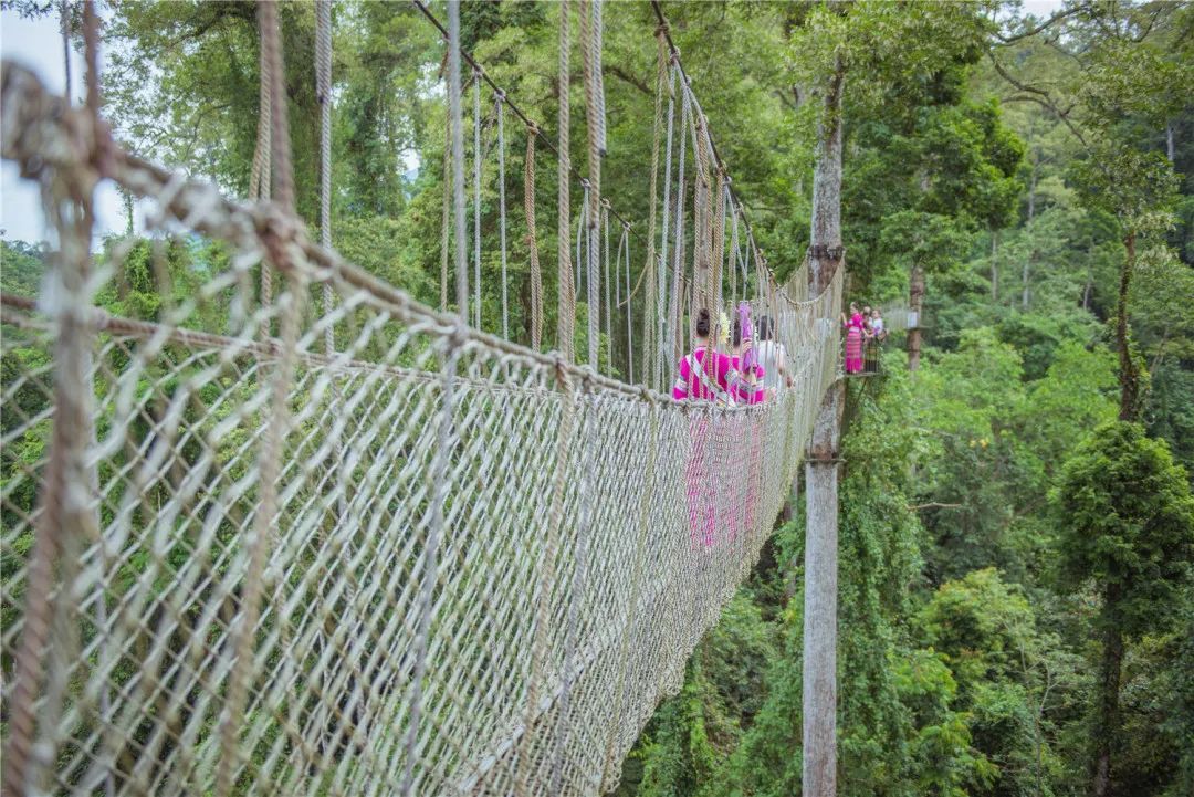 云南省文化和旅游厅