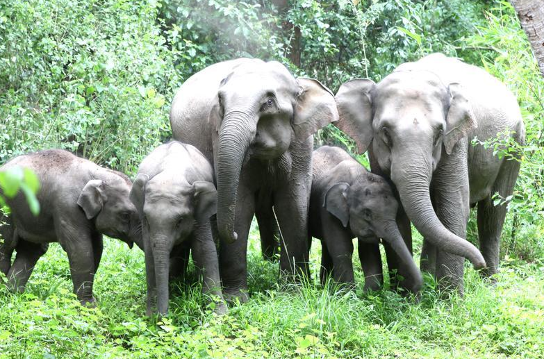 云南省文化和旅游厅