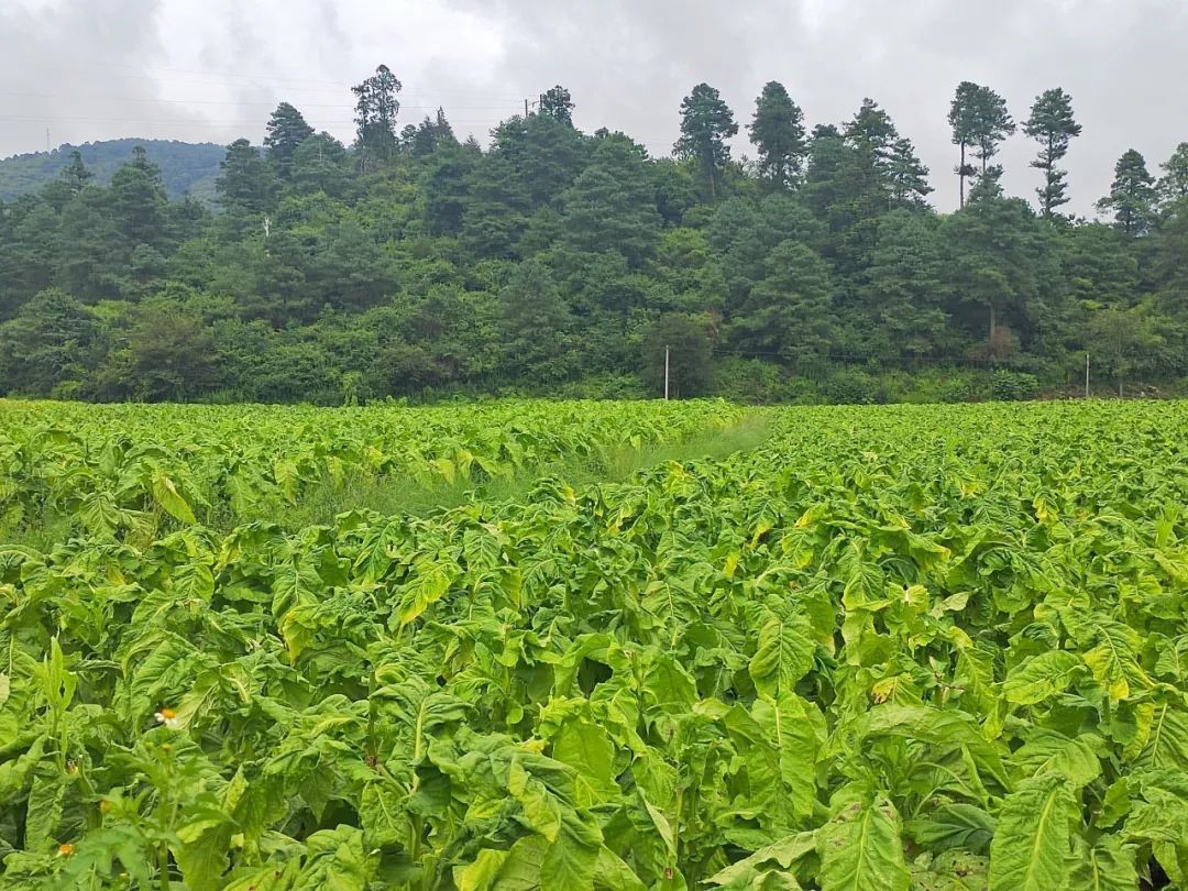 晋宁诗意的栖居地