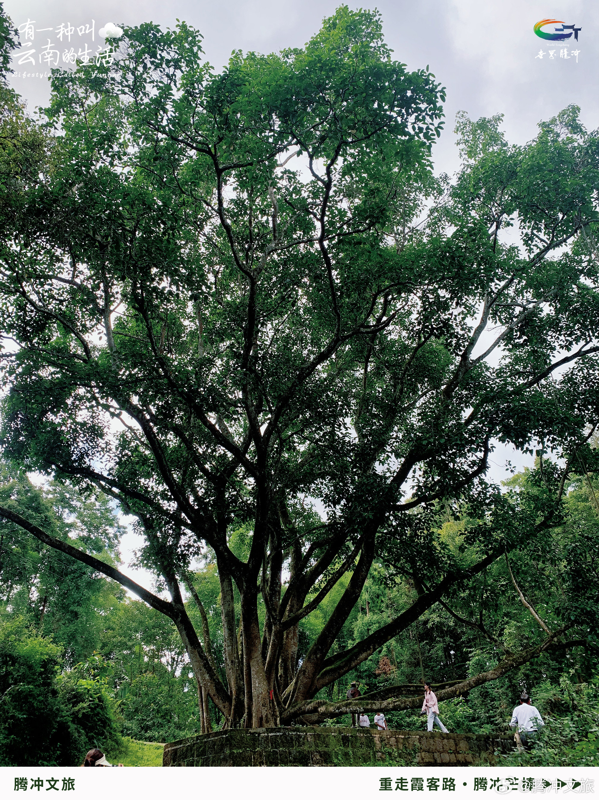 腾冲文旅