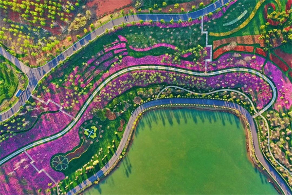 云南省文化和旅游厅