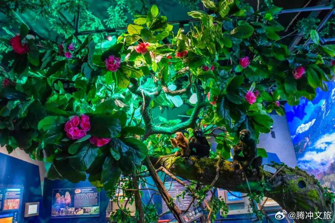 腾冲文旅