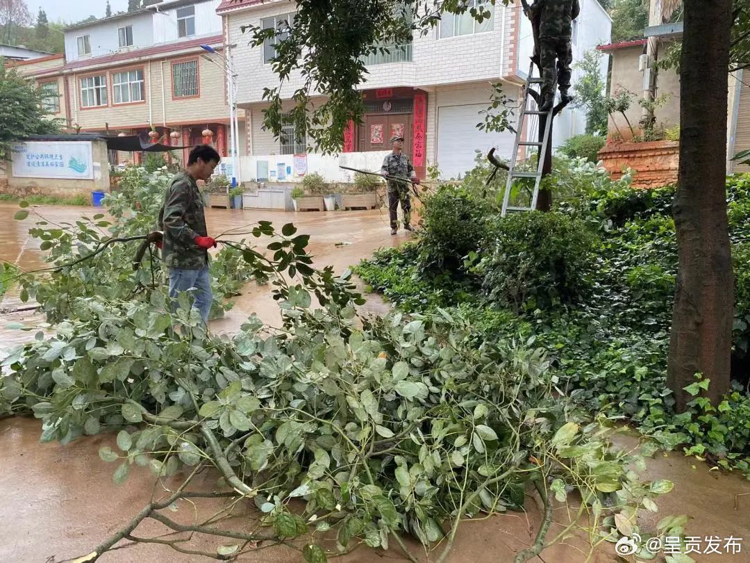呈贡发布