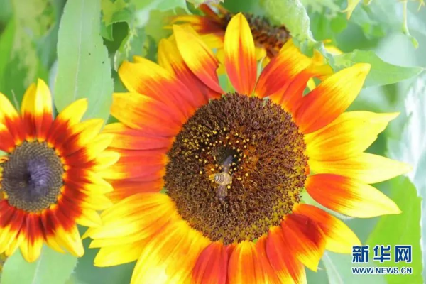 云南省文化和旅游厅