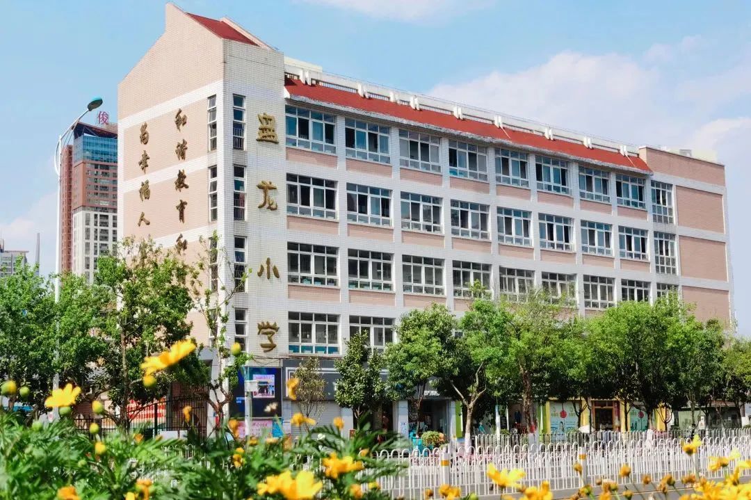 盘龙教育