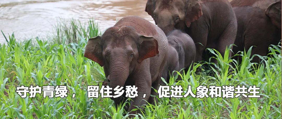 云南政法