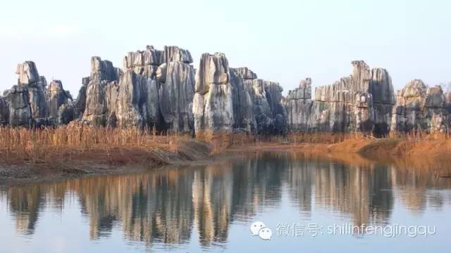 石林融媒