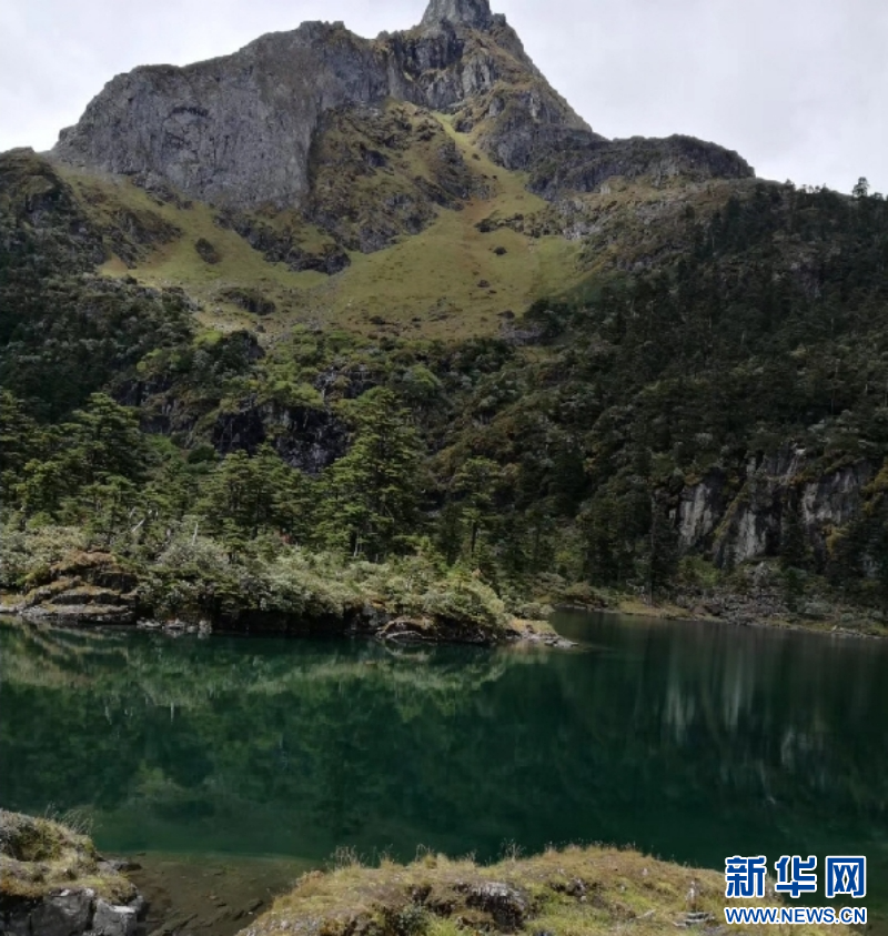 云南省文化和旅游厅