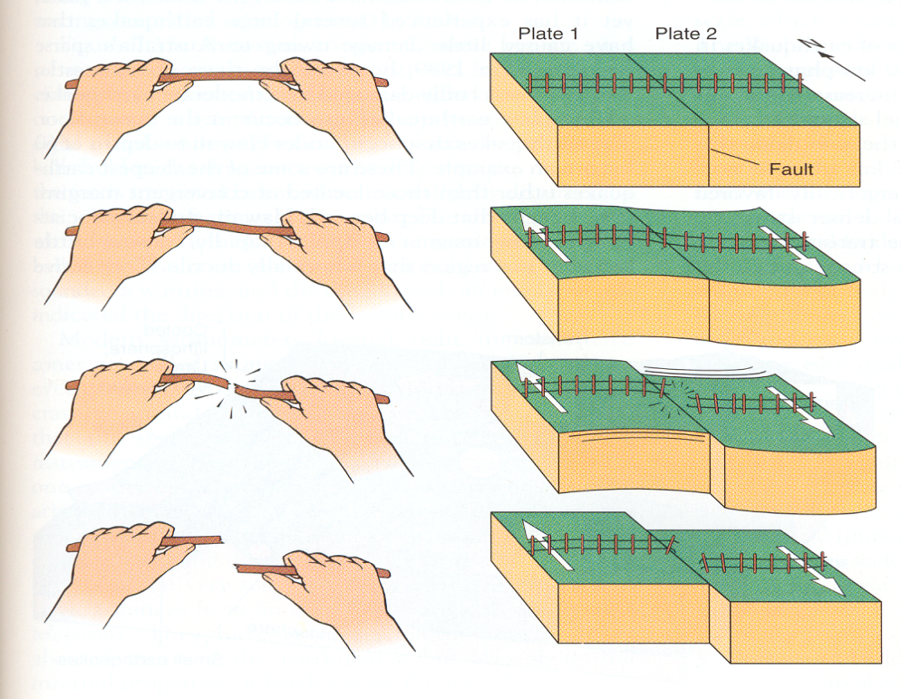 美丽云南微科普