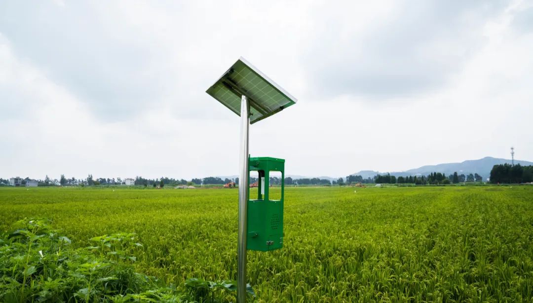 晋宁诗意的栖居地