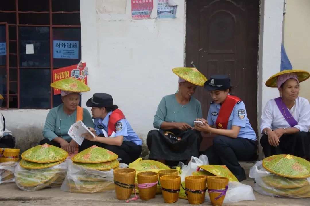 云南政法
