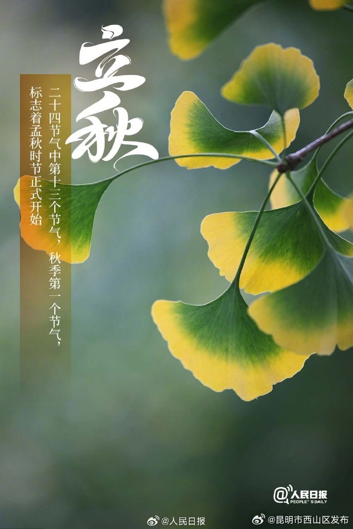 昆明市西山区发布