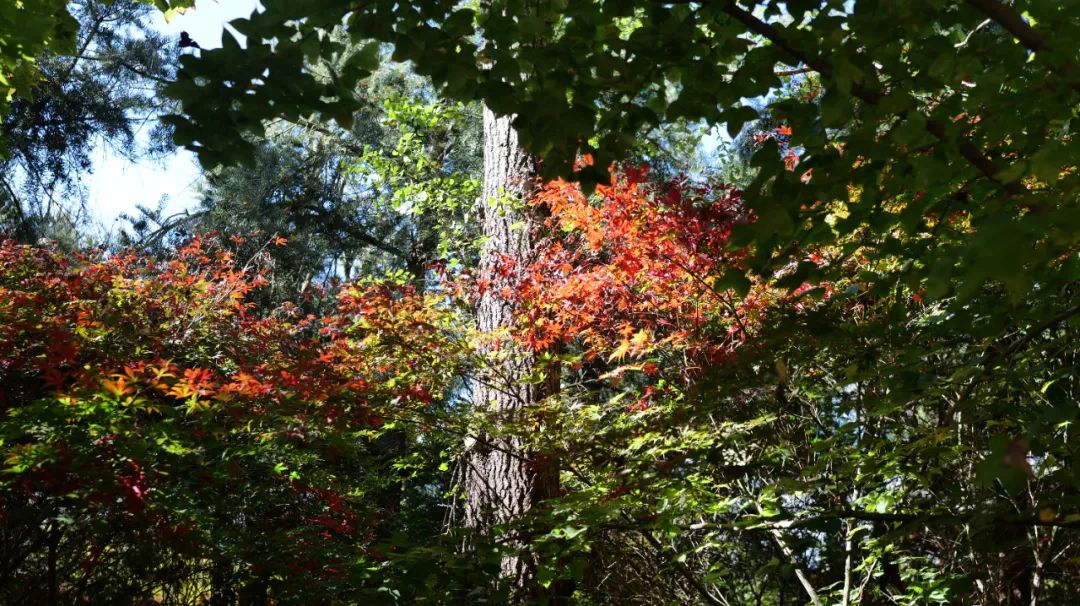 昆明阳宗海风景名胜区