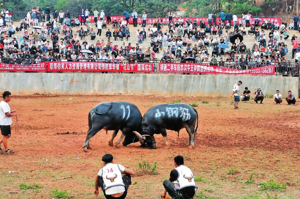 云南省文化和旅游厅