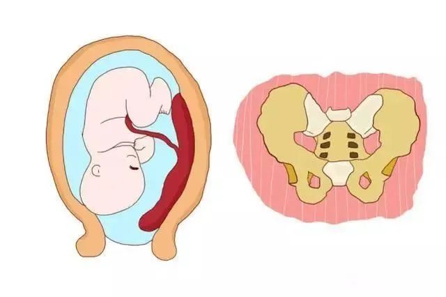 曲靖市妇幼保健院