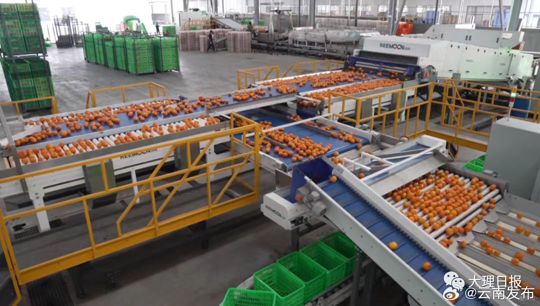 大理州首个跨境电商海外仓建成