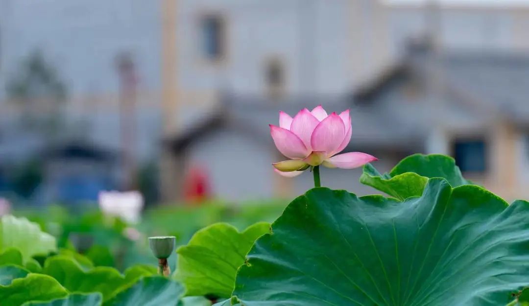 晋宁诗意的栖居地