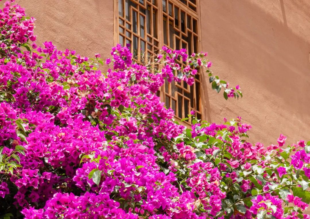 晋宁诗意的栖居地