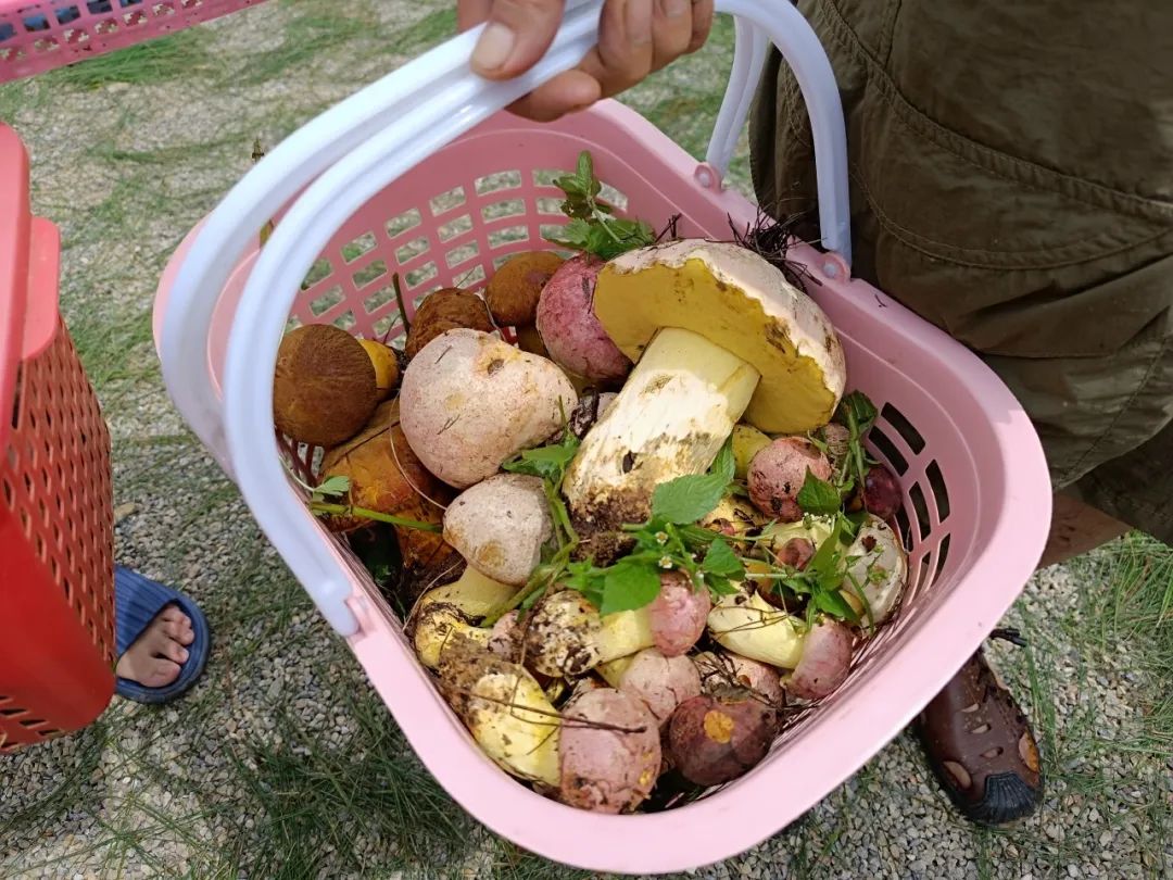 晋宁诗意的栖居地