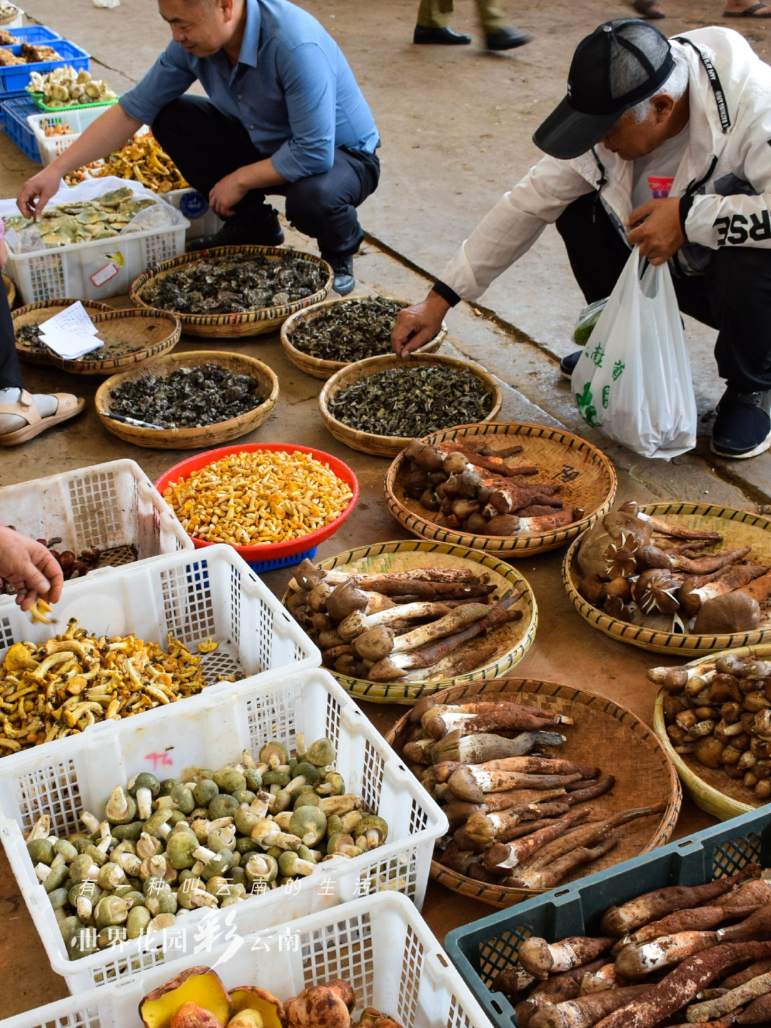 云南省文化和旅游厅