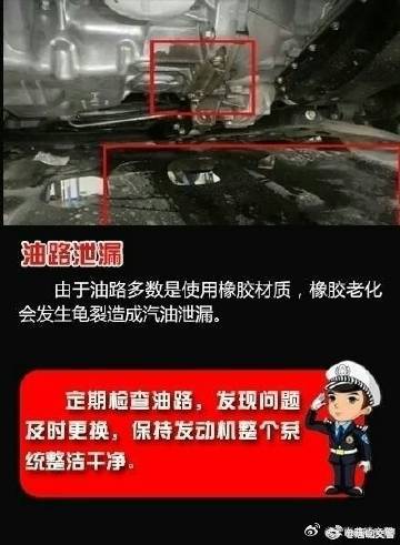 云南曲靖交警