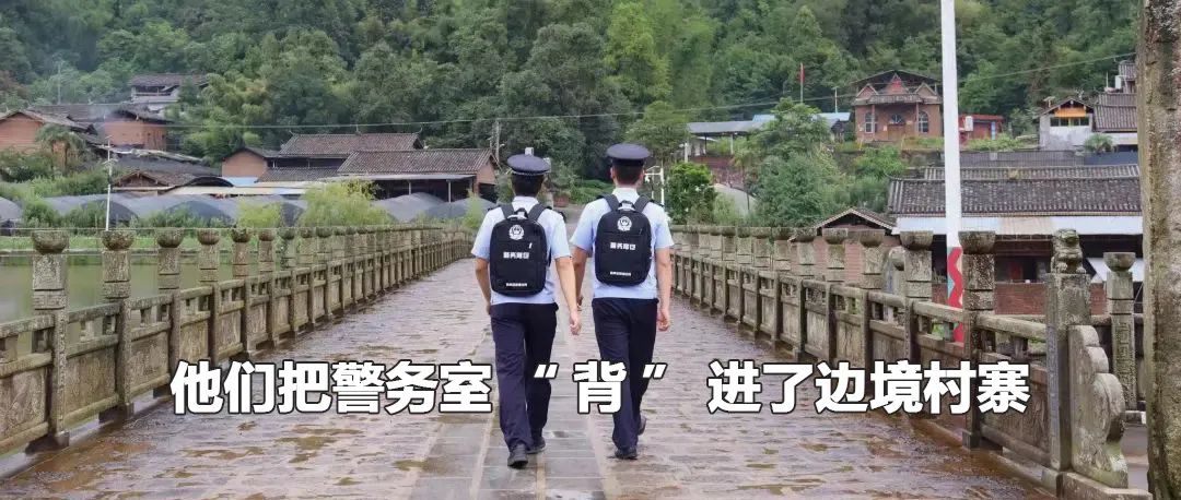 云南政法