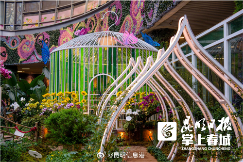 昆明信息港微博