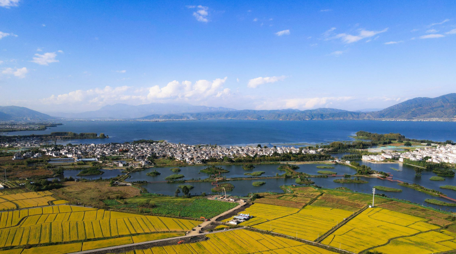 云南省文化和旅游厅