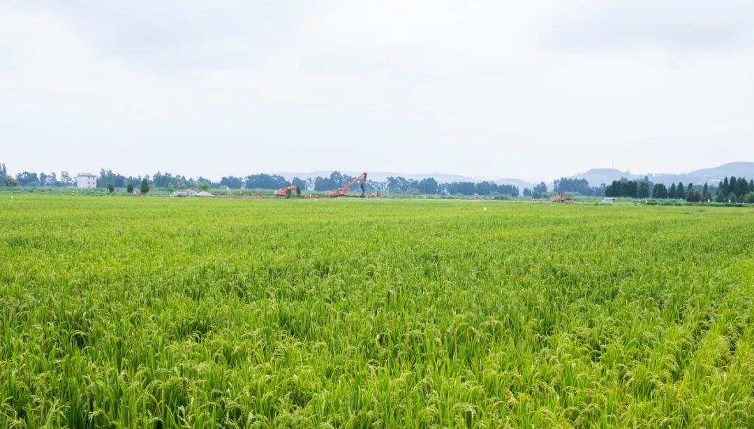 晋宁诗意的栖居地