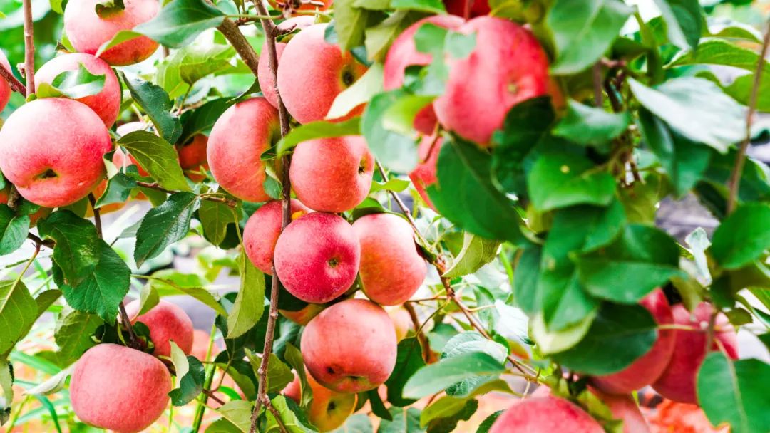 晋宁诗意的栖居地