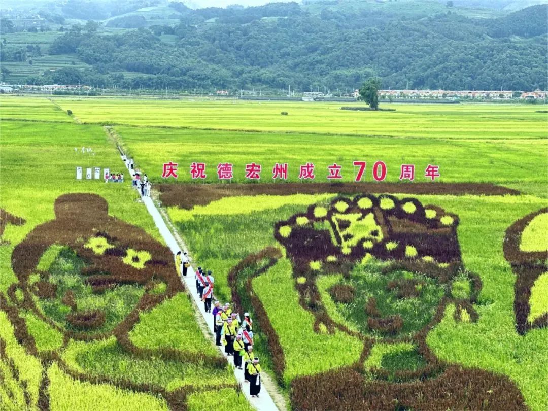 云南政法