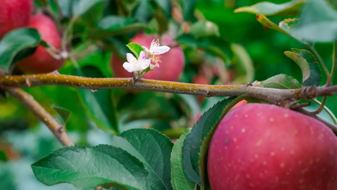 晋宁诗意的栖居地