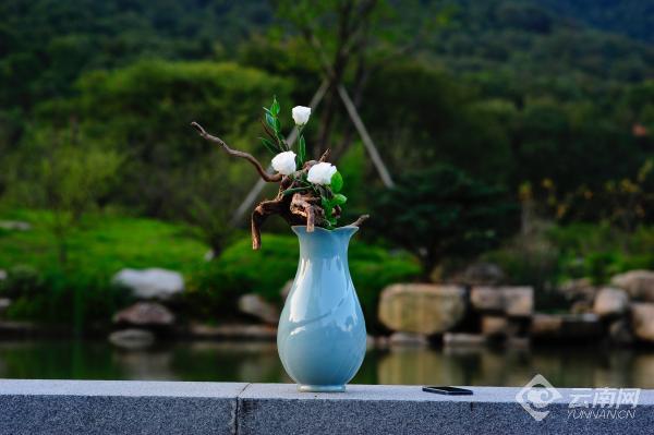 云南省文化和旅游厅