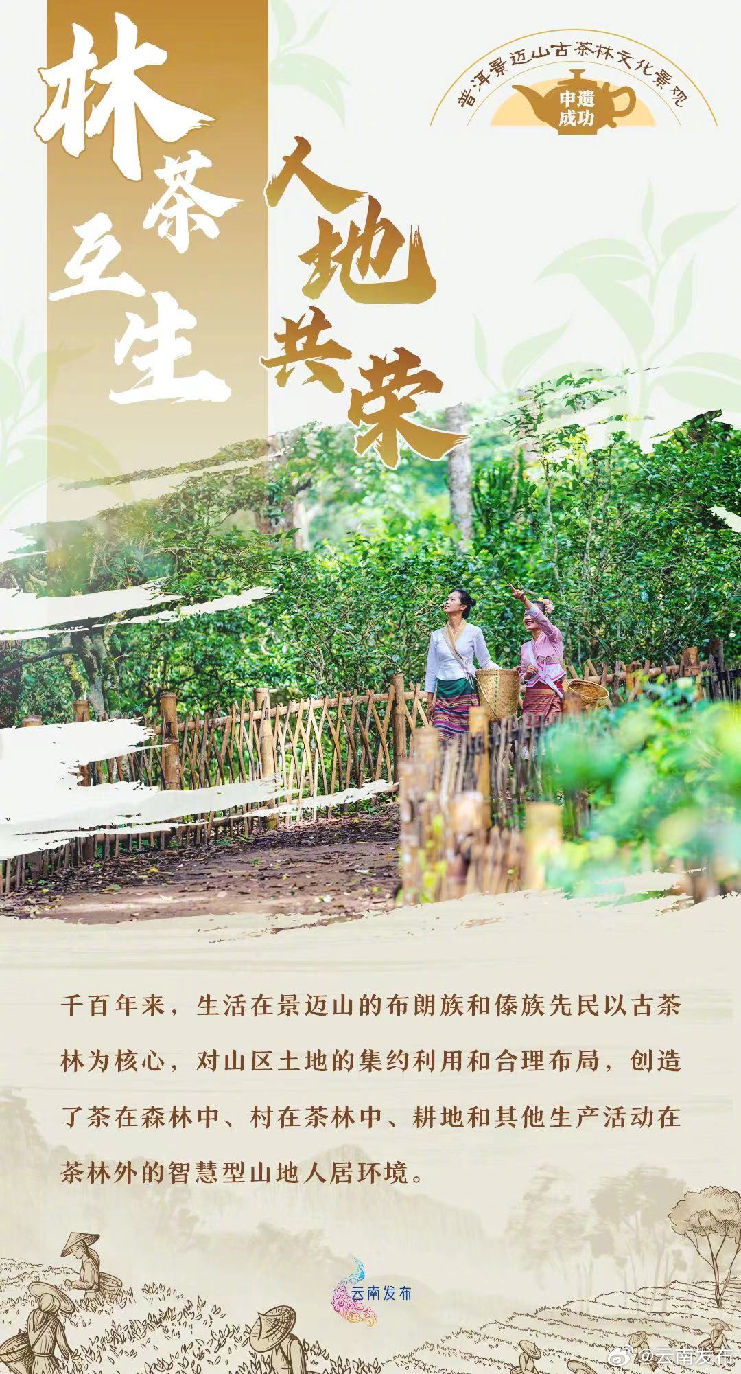 云南发布