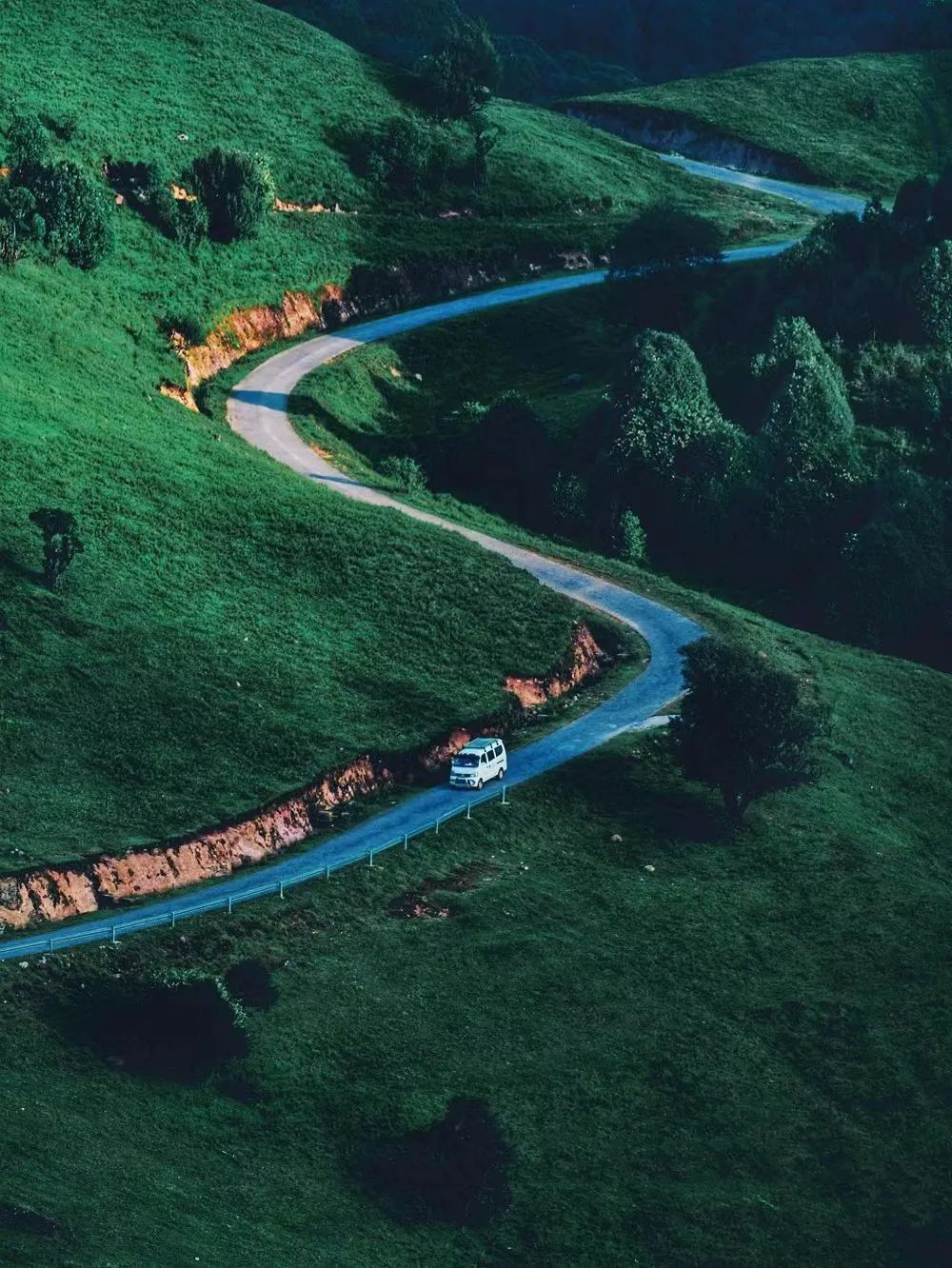 云南省文化和旅游厅