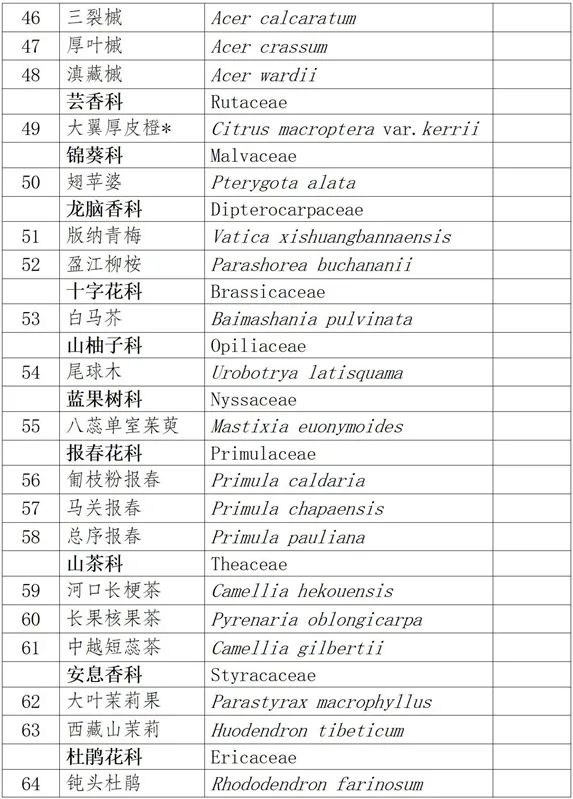 云南省人民政府网