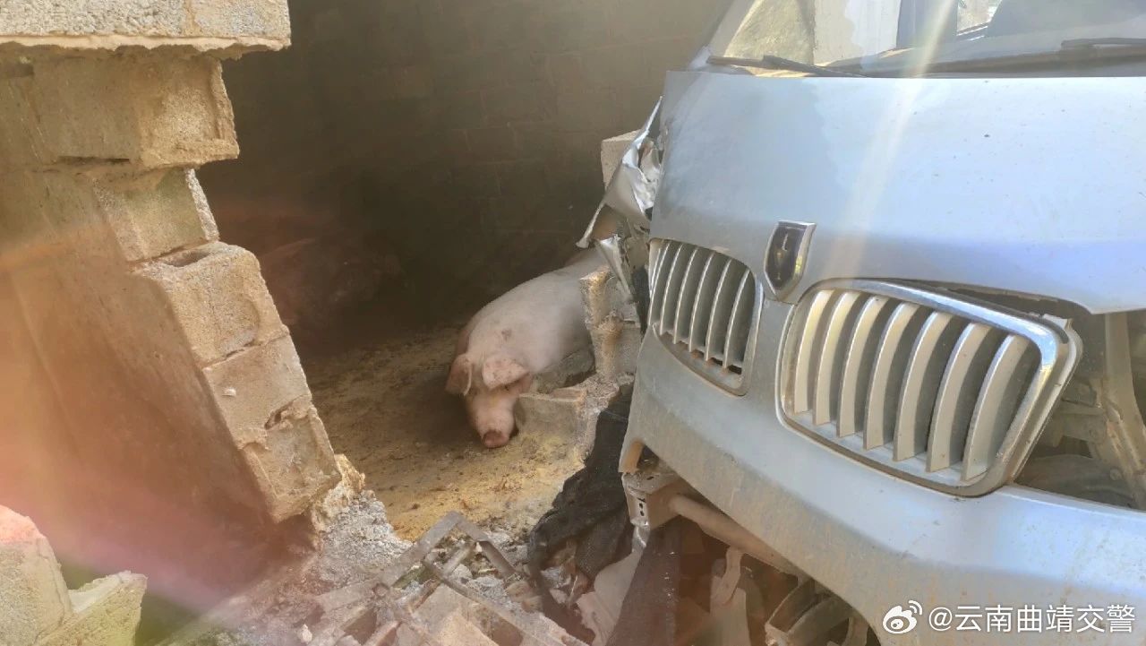 云南曲靖交警