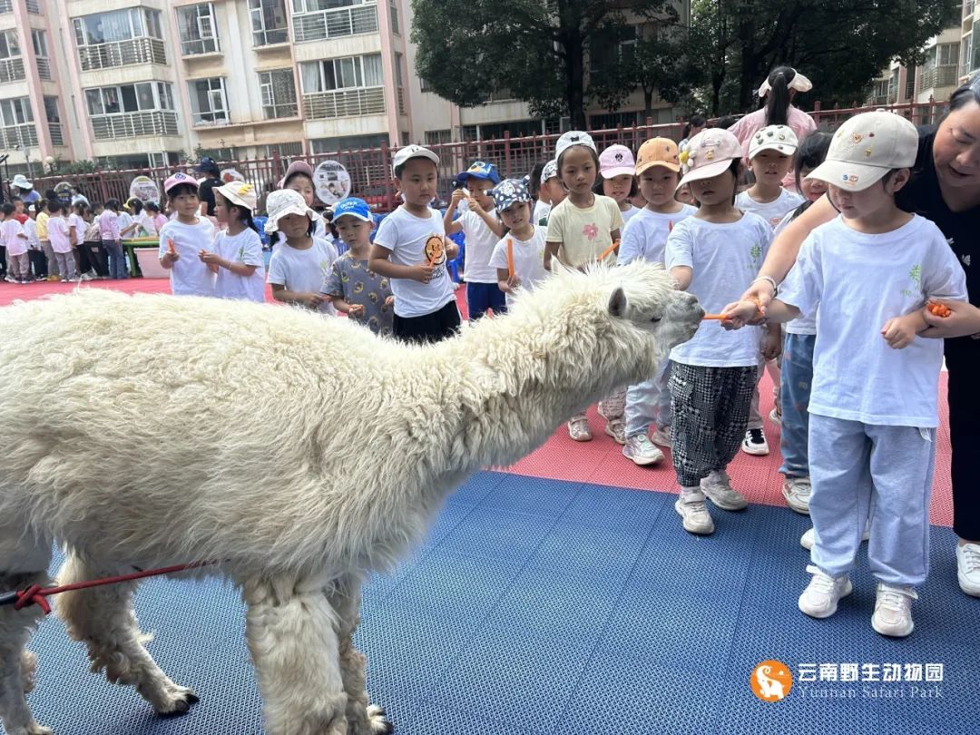 云南野生动物园