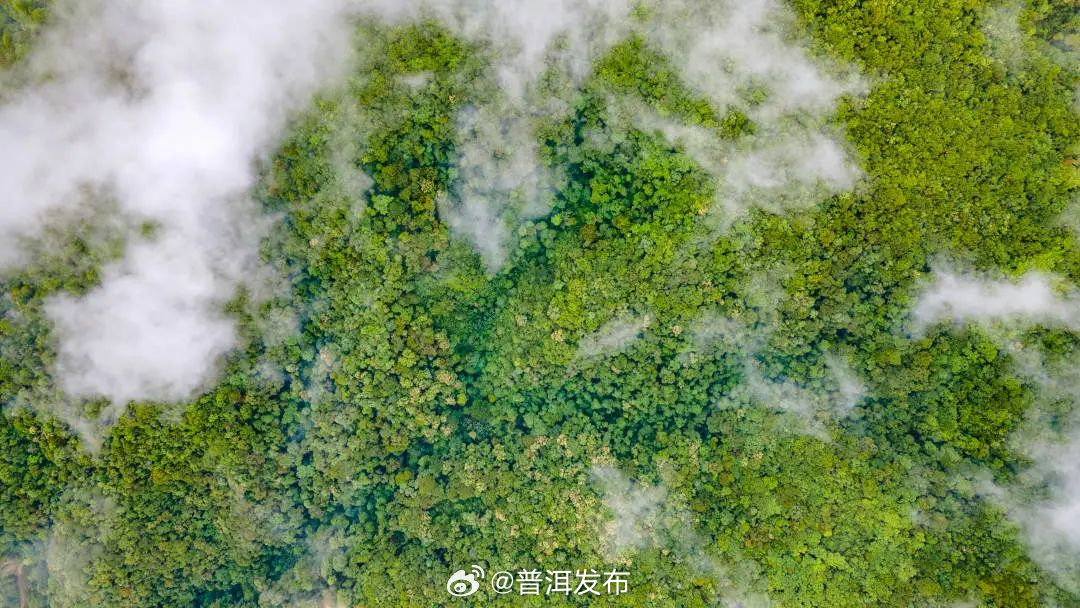 普洱这地火了，携程搜索量环比增长161%，美团搜索量同比上涨500%！