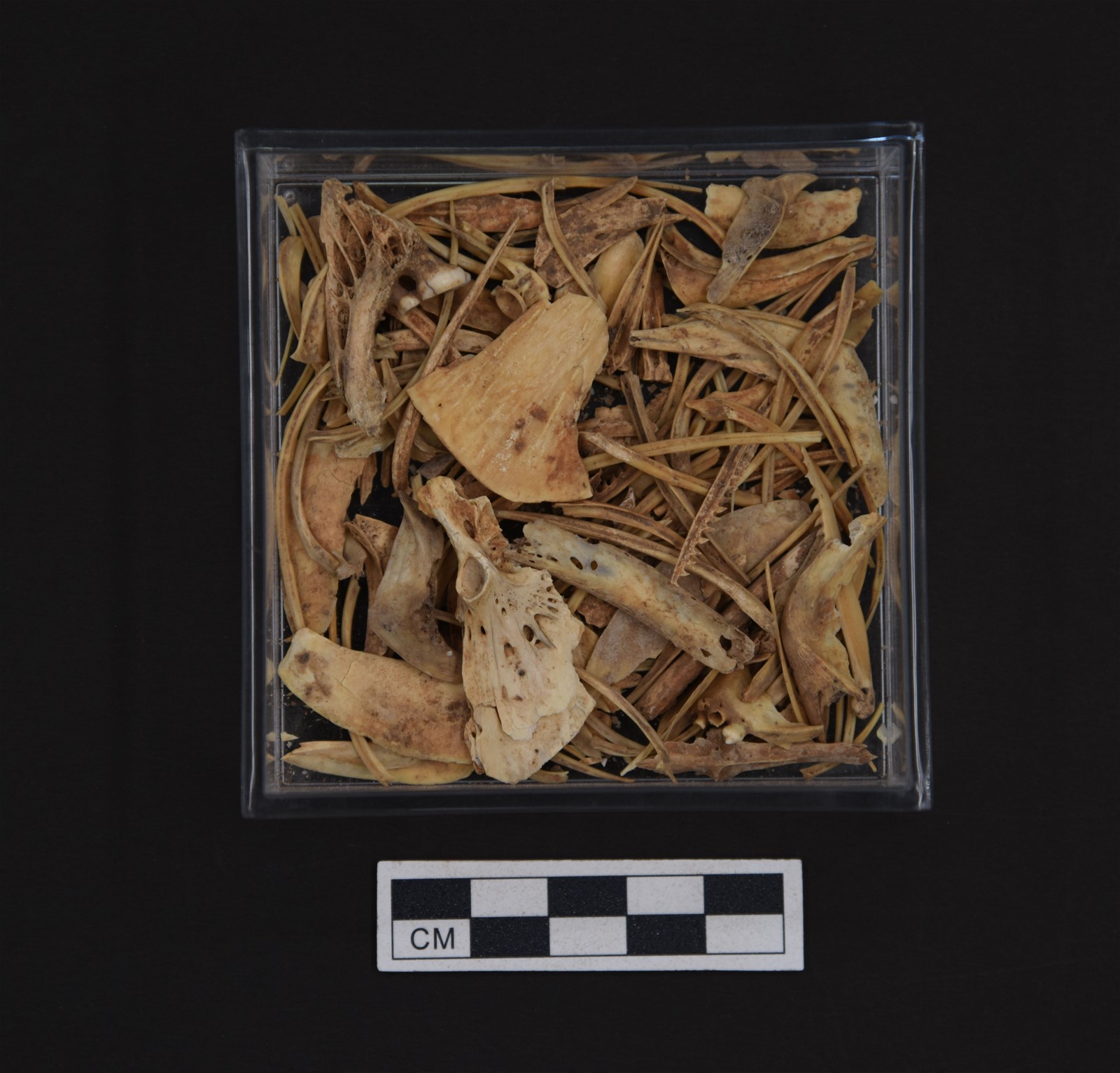 云南省文化和旅游厅