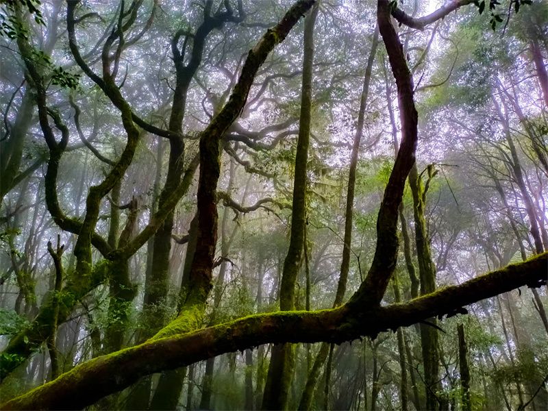 云南省文化和旅游厅