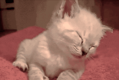 滇池旅游度假区