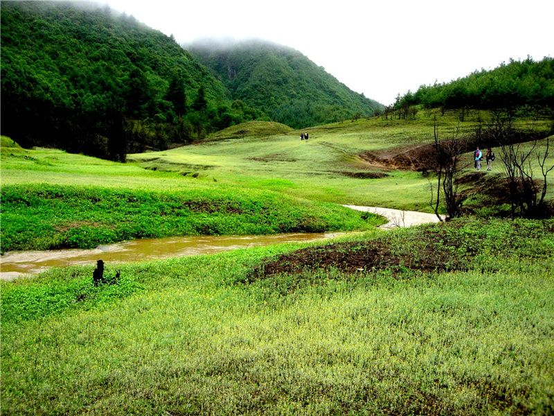 云南省文化和旅游厅