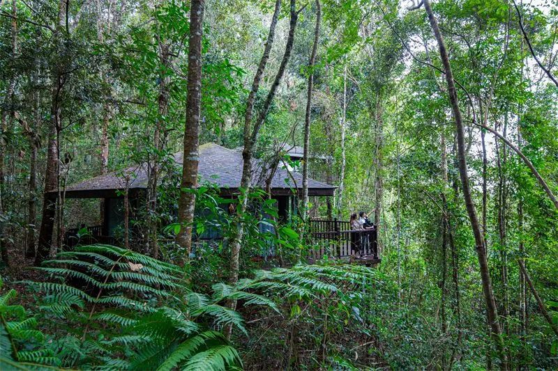 云南省文化和旅游厅