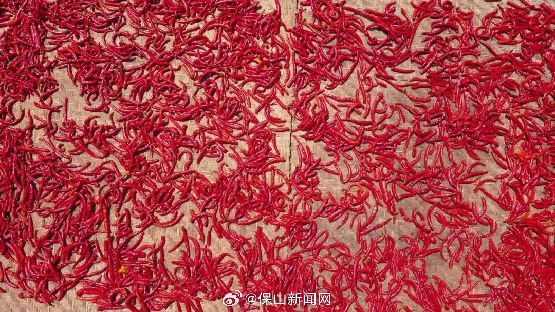 保山新闻网