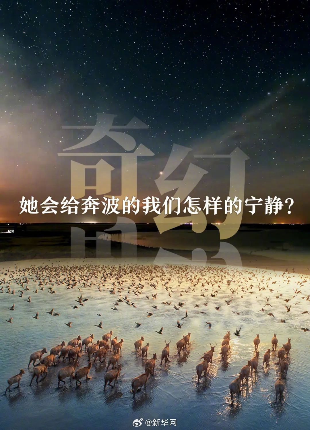新华网