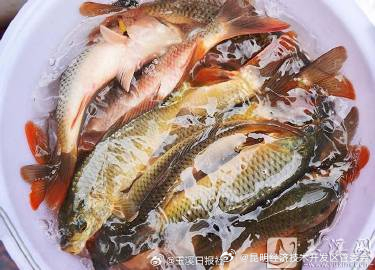 昆明经济技术开发区管委会