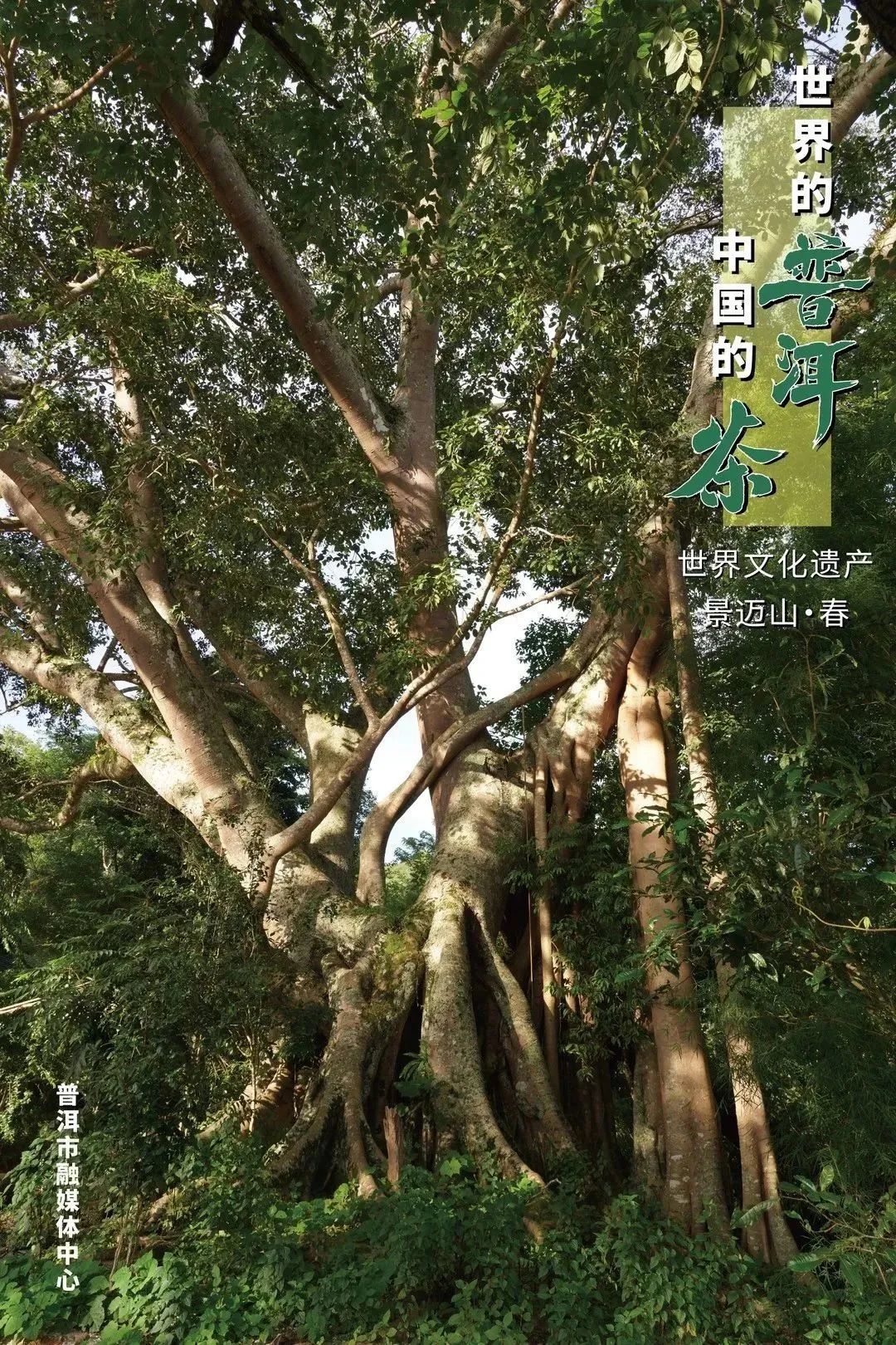 云南网
