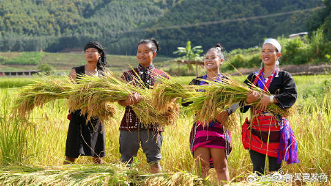 2023年中国农民丰收节云南省主场活动即将举行